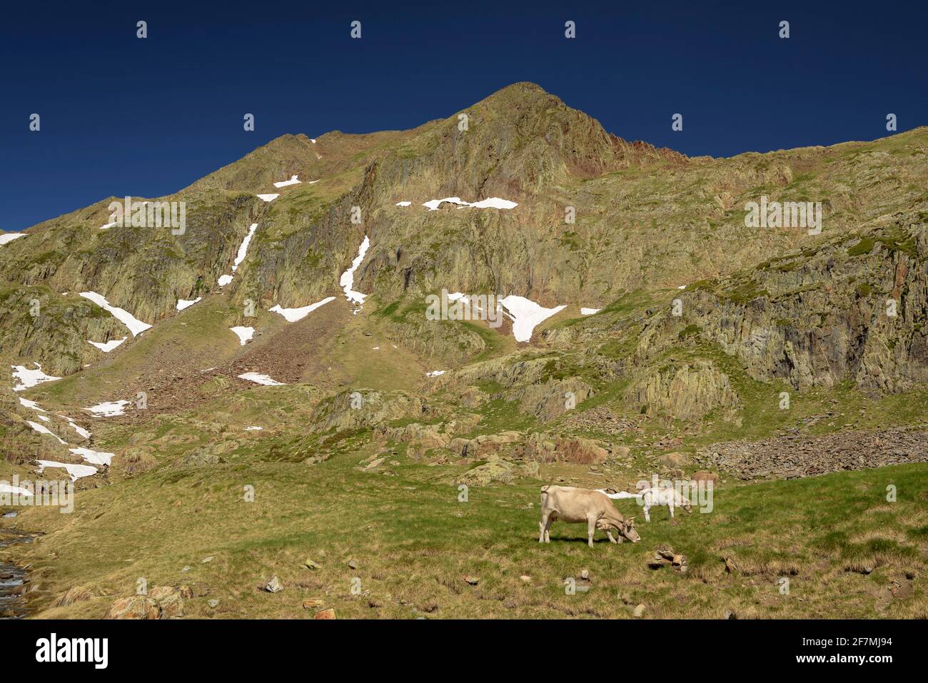 Picco Certascan visto vicino al lago Certascan (Parco Naturale Alt Pirineu, Catalogna, Spagna, Pirenei) ESP: Vistas del Pic de Certascan (Pirineos) Foto Stock