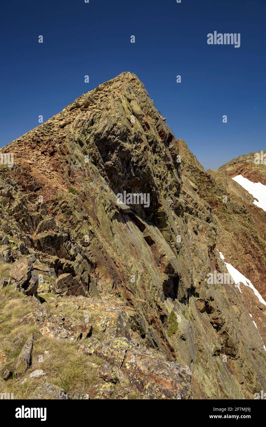 Vista sulla cima del Certascan (Alt Pirineu Natural Park, Catalogna, Spagna, Pirenei) ESP: Viste del Pico del Pic de Certascan (PN Alt Pirineu, Cataluña) Foto Stock