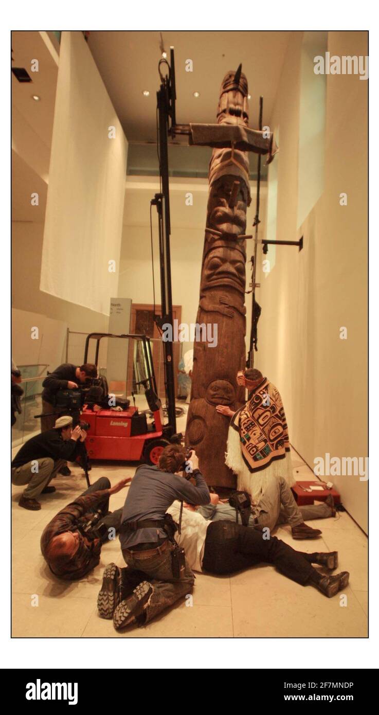 Un PRIMO E importante POLO TOTEM della Nisgaa'a Nation, la Colombia Britannica si è alzata in posizione al British Museum con il capo Gadeelip (letteralmente "Cheif Anchor") maestro carver e membro del clan Nisga'a Eagle-Beaver a portata di mano per guardare il processo. Il magnifico palo di cedro rosso di 8 metri sarà uno degli oggetti più importanti della prossima mostra VIVENTE e MORENTE che aprirà il 3 novembre.pic David Sandison 17/10/2003 Foto Stock