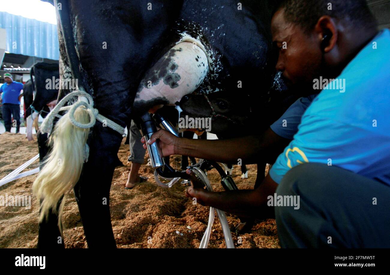 salvador, bahia / brasile - d3, 2014: Cowboy è visto fare mungere meccanizzato di mucca da latte nella città di Salvador. *** Local Caption *** . Foto Stock