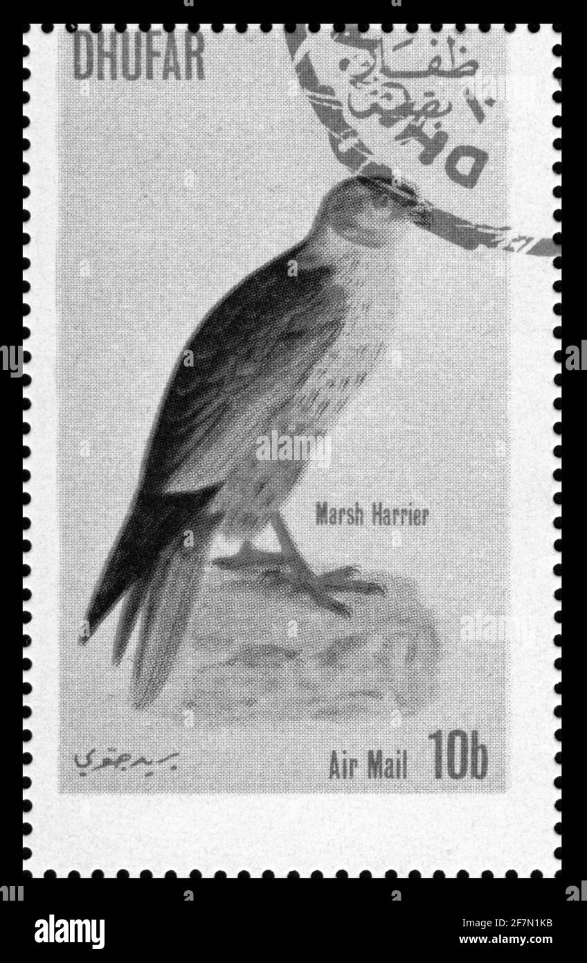 Stampa timbro in Dhufar, uccelli, animali Foto Stock
