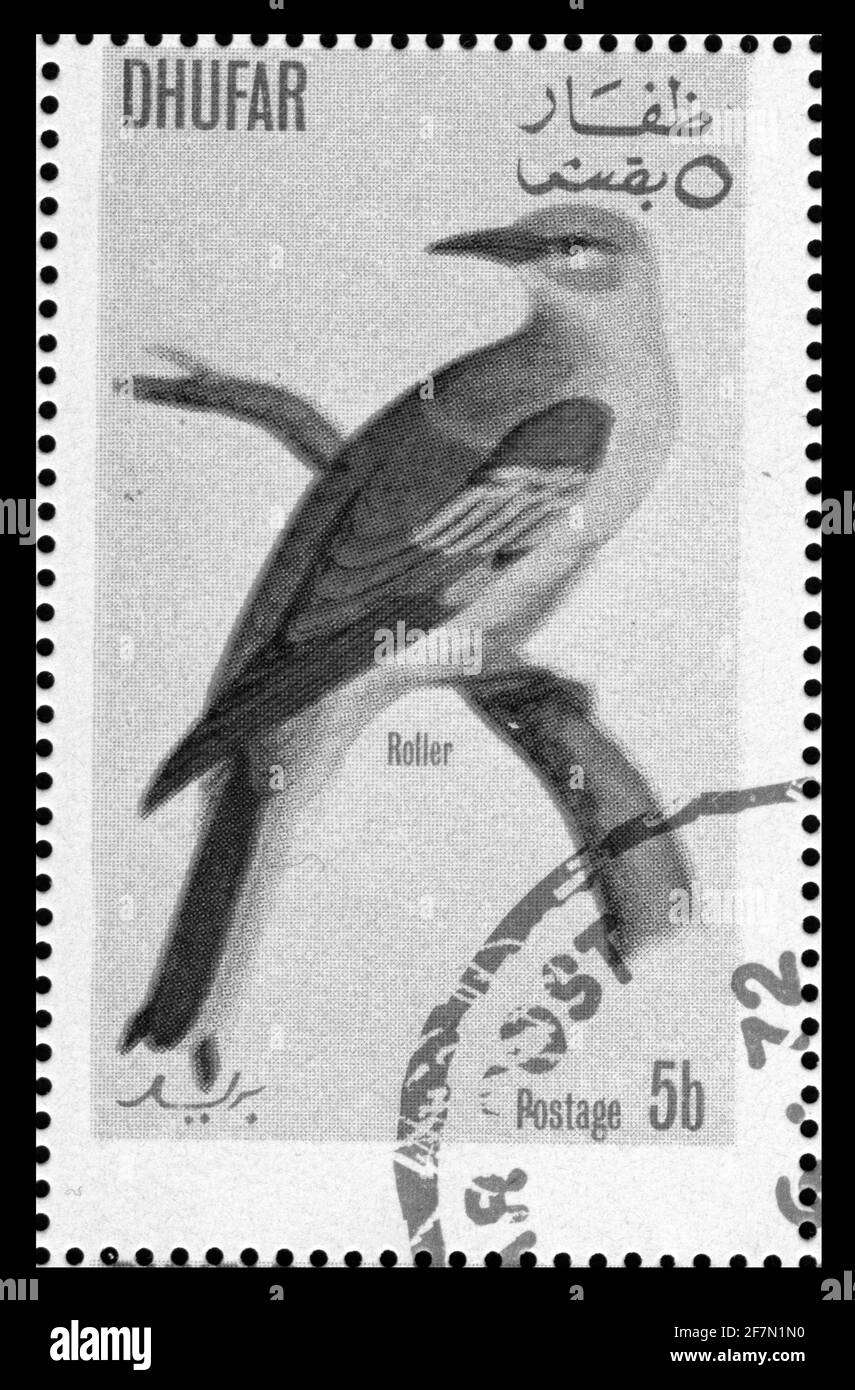 Stampa timbro in Dhufar, uccelli, animali Foto Stock