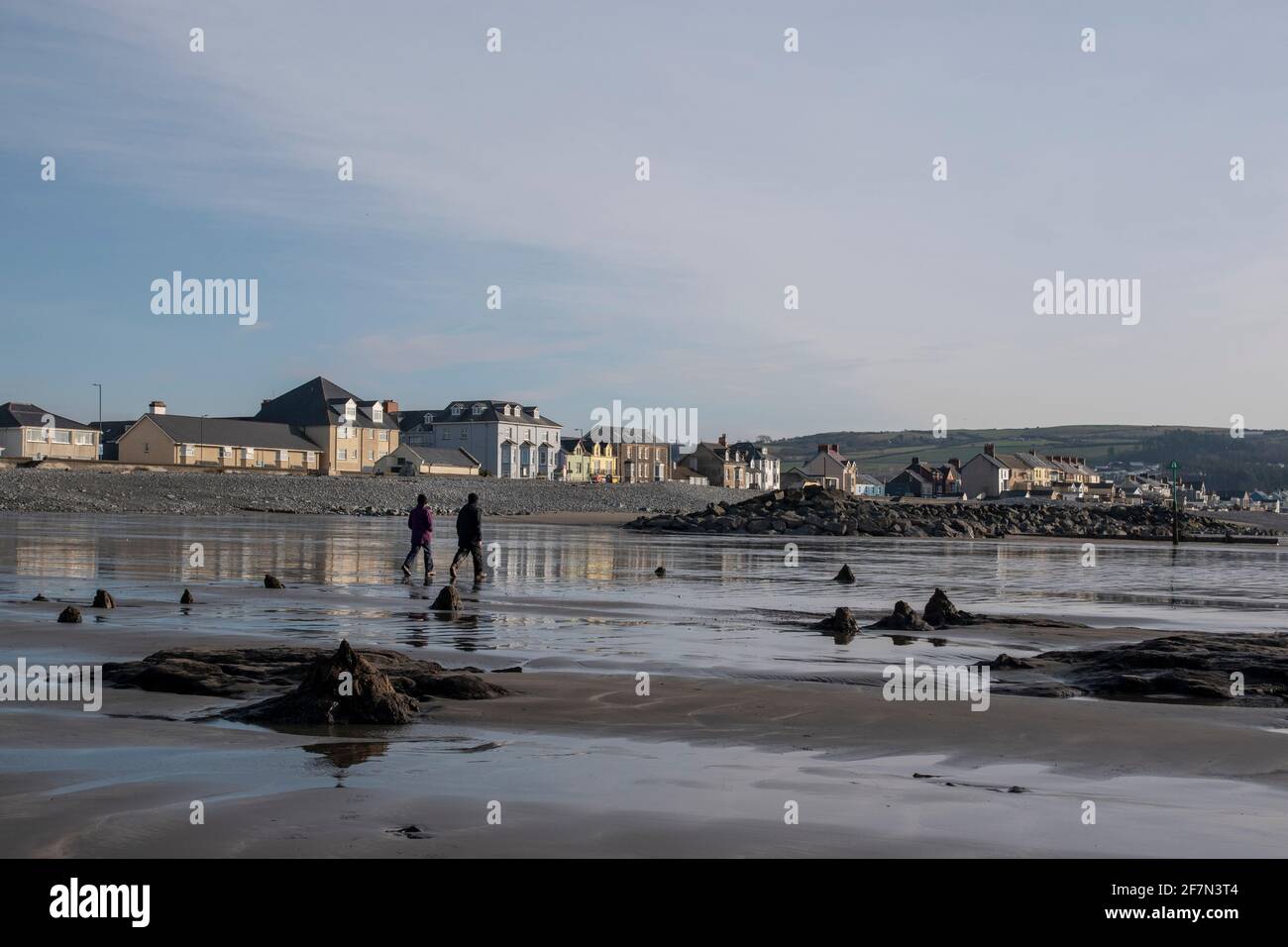 una coppia che cammina lungo la spiaggia con alberi da cui si trova la foresta pietrificata ha sradicato intorno e le case colorate di borth sullo sfondo Foto Stock