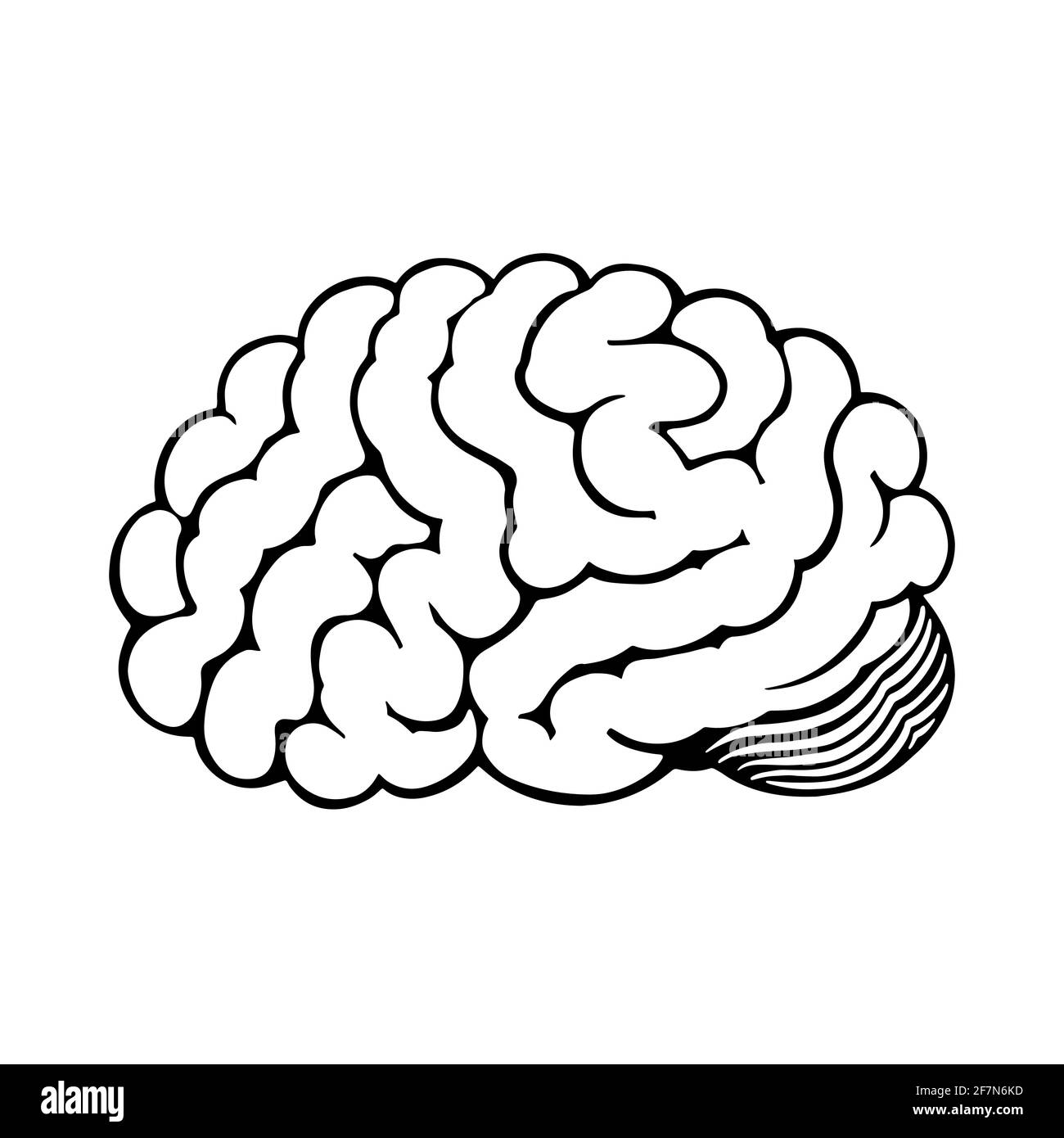 Illustrazione della linea nera e bianca del cervello umano. Illustrazione Vettoriale