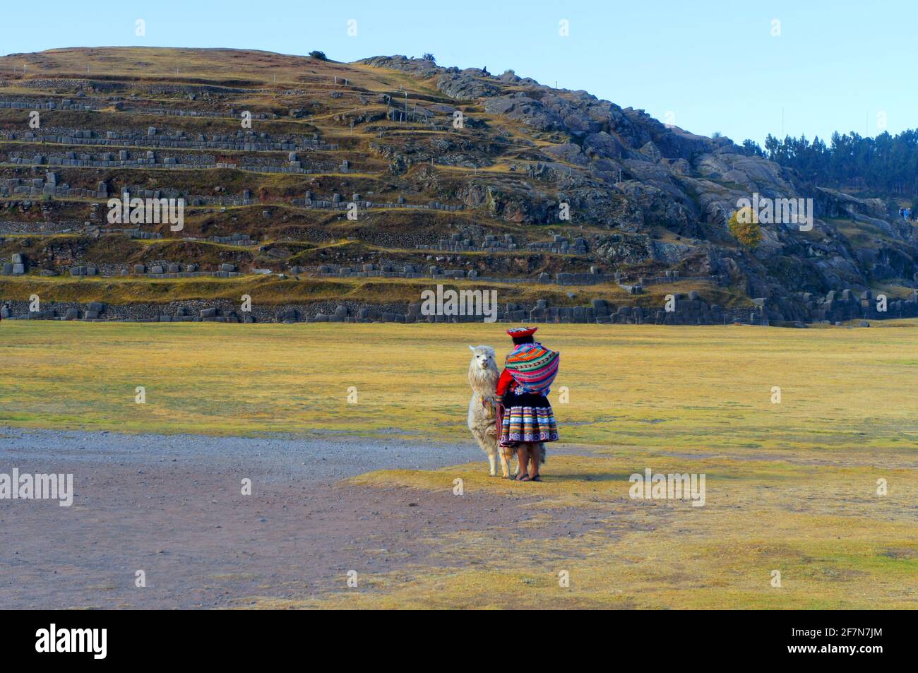 Donna contadina peruviana con la sua alpaca in un parco storico dell'agricoltura Inca. Foto scattata nel 2017. Foto Stock