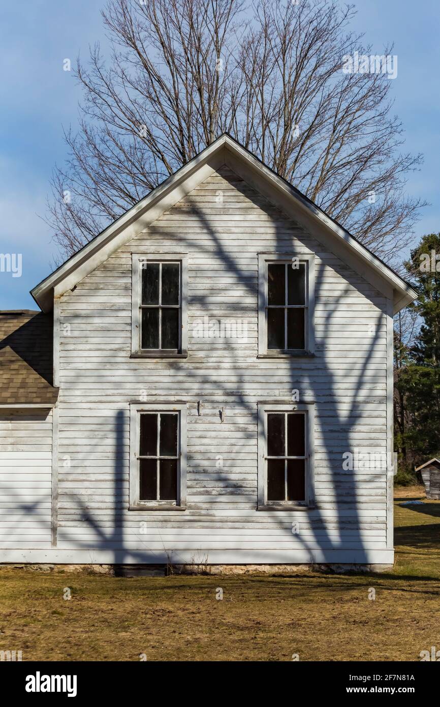 Alberi ombre che attraversano la casa colonica presso la fattoria Eitzen in Sleeping Bear Dunes National Lakeshore lungo il lago Michigan, Michigan, Stati Uniti Foto Stock