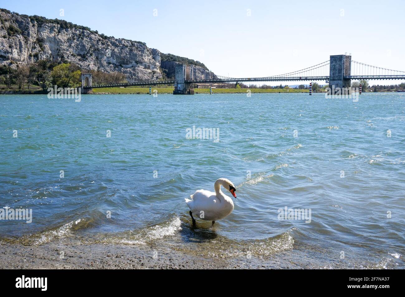 Le rive del fiume Rodano, a sud di Viviers, Ardeche, Francia Foto Stock