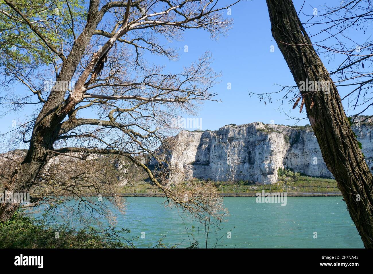 Scogliere lungo le rive del fiume Rodano, a sud di Viviers, Ardeche, Francia Foto Stock