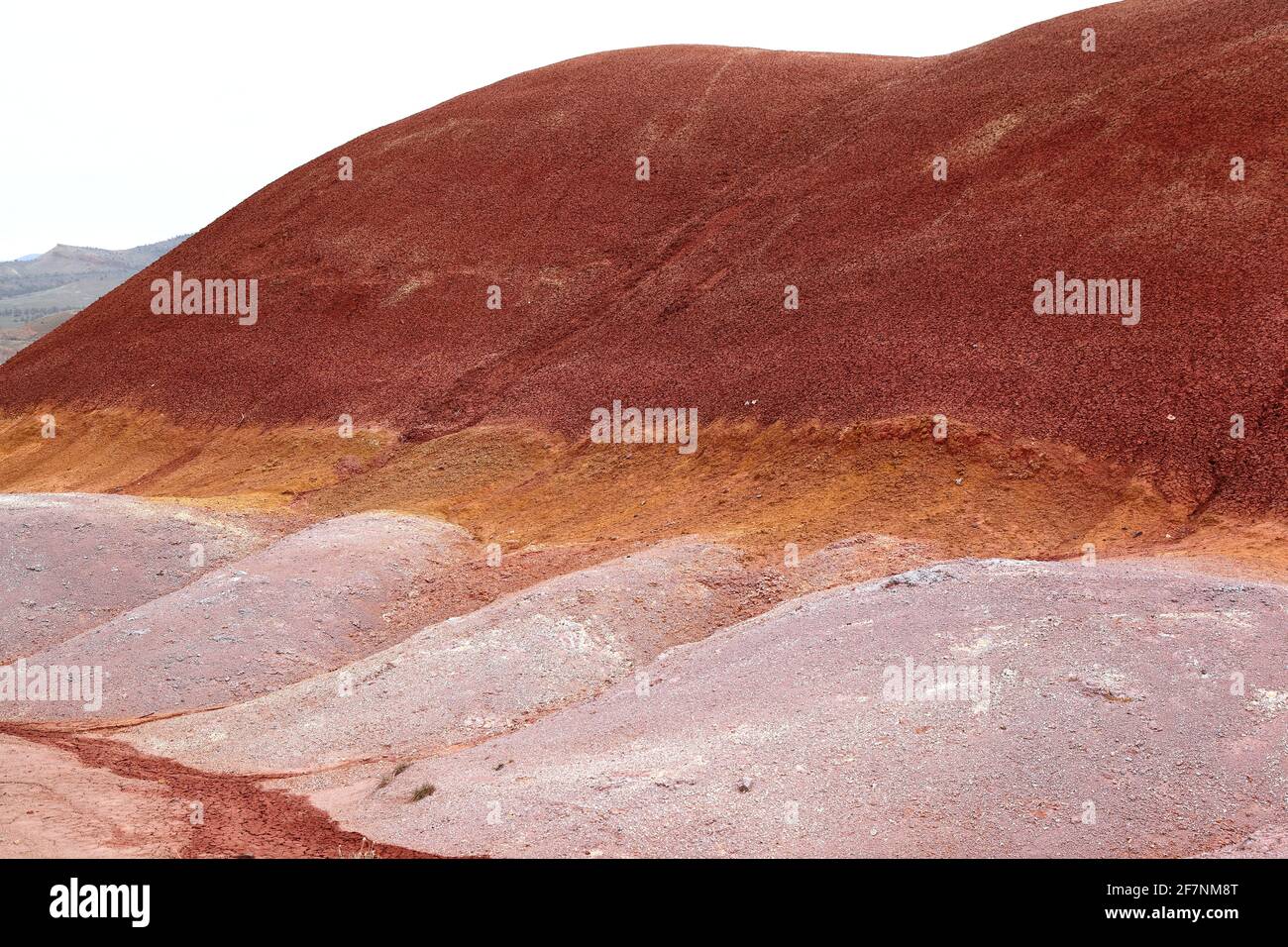 Le incredibili colline dipinte dell'Oregon Foto Stock
