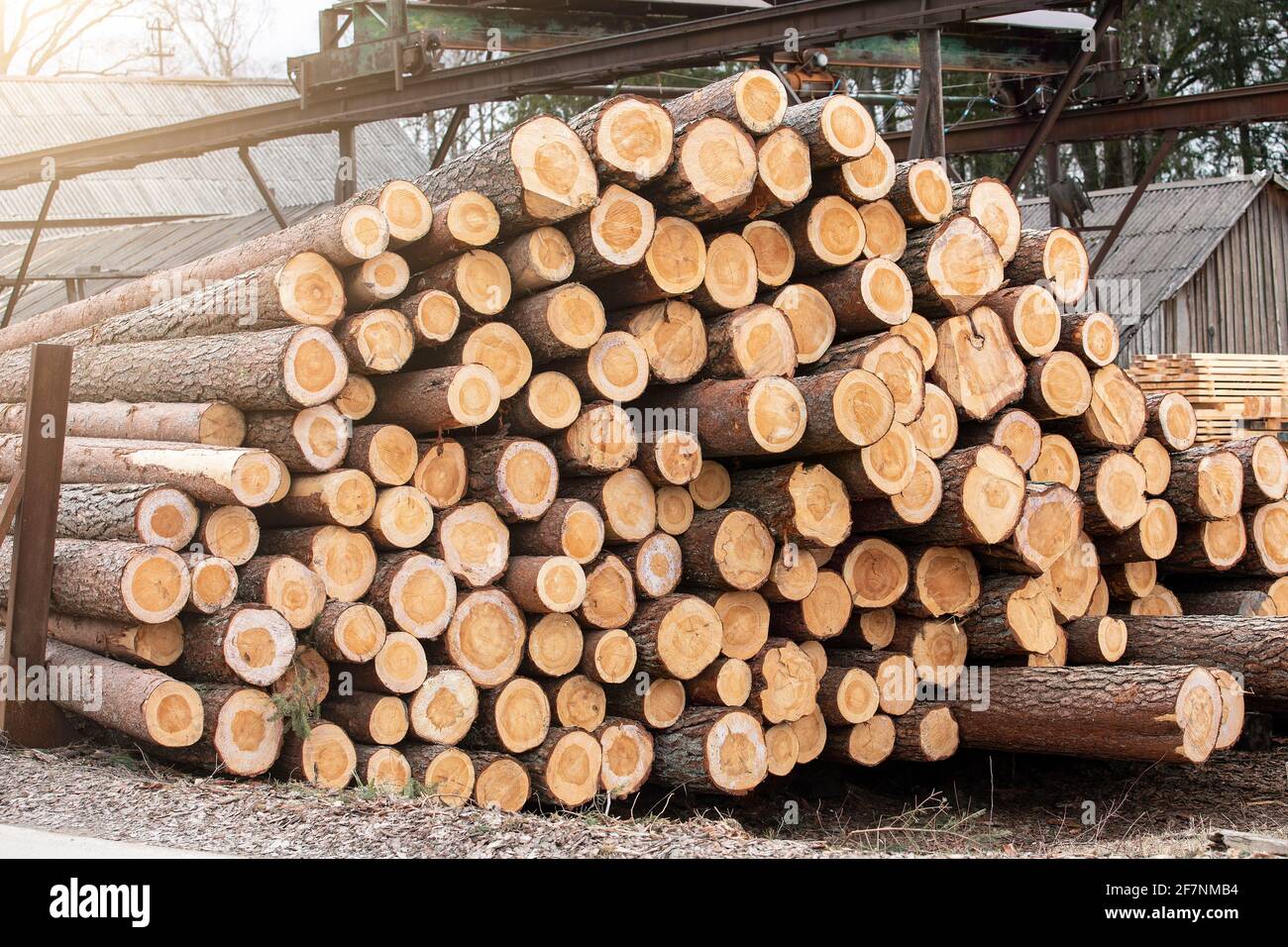 Fabbrica e industria. Stack di log. Produzione di legname, trasporto e consegna. Foto Stock