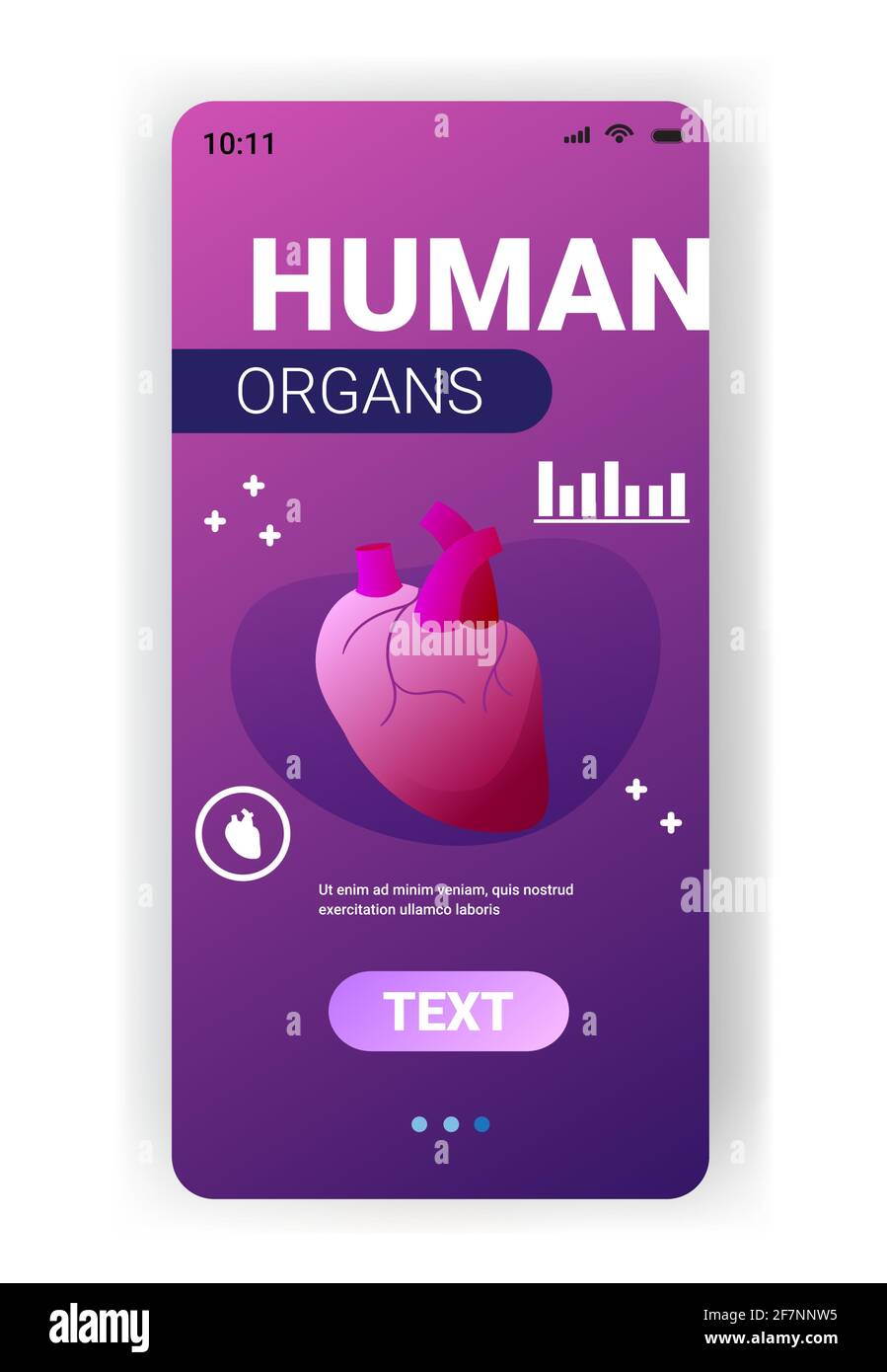 struttura anatomica del cuore corpo umano anatomia interna dell'organo sanitario medico spazio di copia verticale dell'app mobile concept per smartphone Illustrazione Vettoriale
