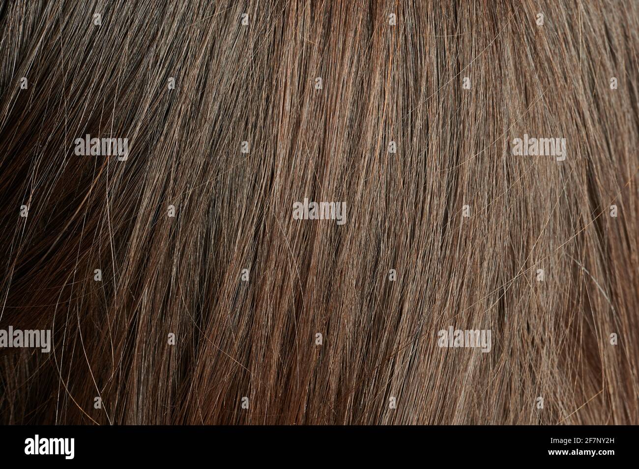 Marrone scuro capelli lisci sfondo macro vista ravvicinata Foto Stock