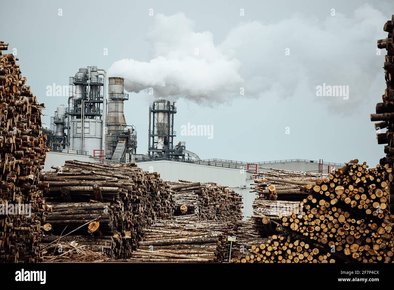 magazzino di alberi abbattuti in fabbrica. i camini della fabbrica di fumo inquinano l'atmosfera. l'impresa di lavorazione del legno distrugge le foreste e i danni Foto Stock