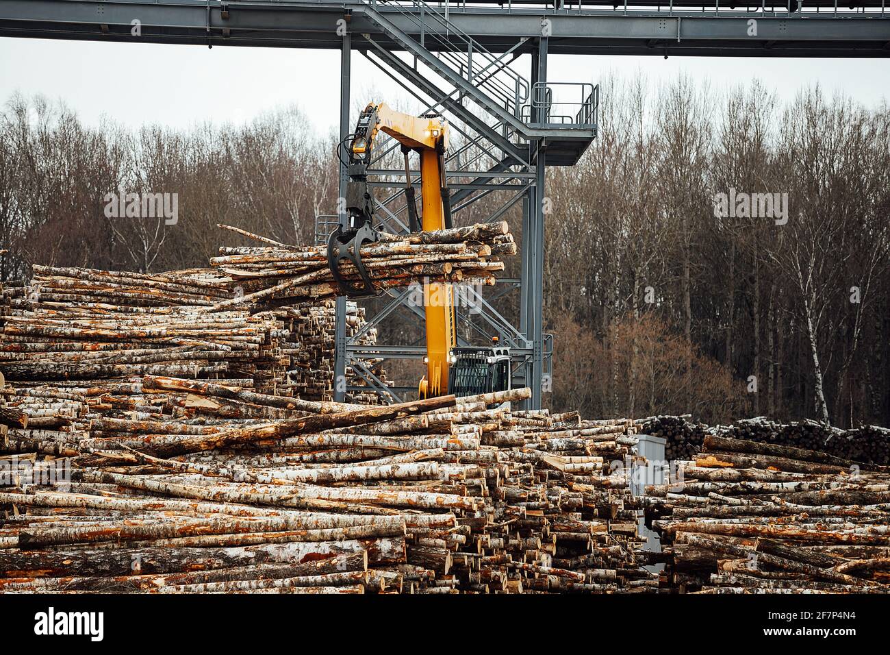 il caricatore frontale lavora in un impianto di lavorazione del legno. escavatore industriale con pinza meccanica trasporta il legno nel magazzino Foto Stock