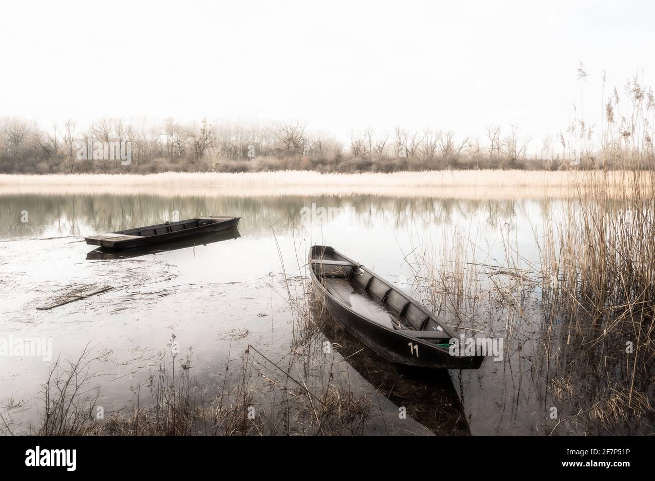 Vecchie barche di legno ancorate nel tranquillo Lago Mystic Foto Stock
