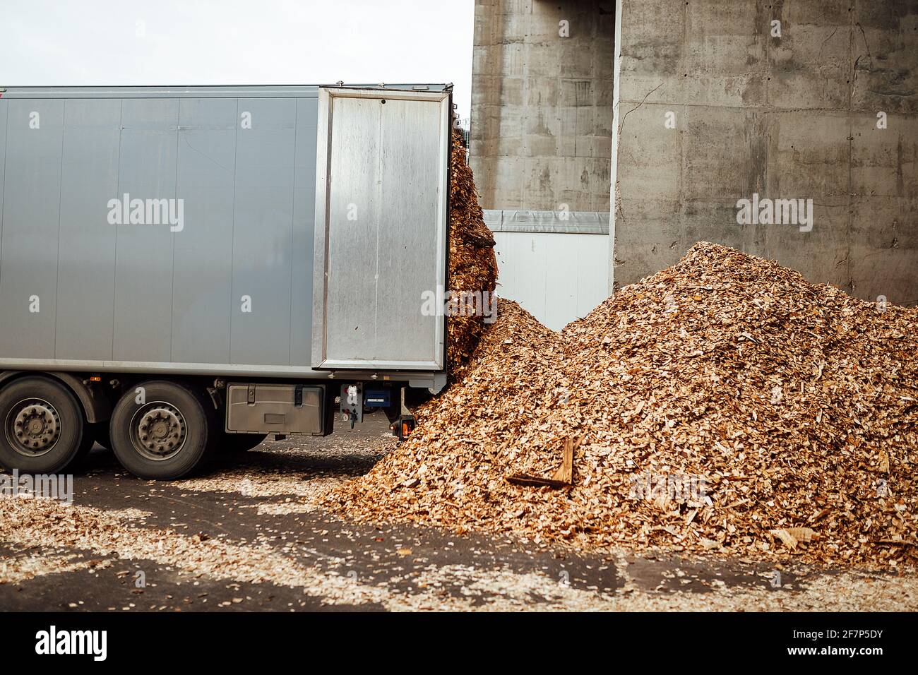 il caricatore frontale trasporta il legno raccolto in fabbrica. il trasporto industriale lavora in un magazzino. il caricamento di materie prime di legno su un trasportatore Foto Stock