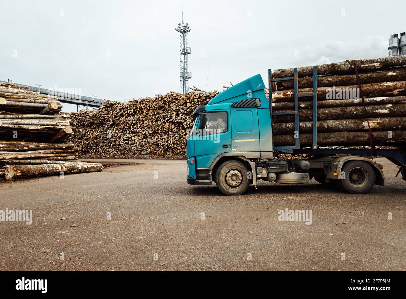 il caricatore frontale trasporta il legno raccolto in fabbrica. il trasporto industriale lavora in un magazzino. il caricamento di materie prime di legno su un trasportatore Foto Stock