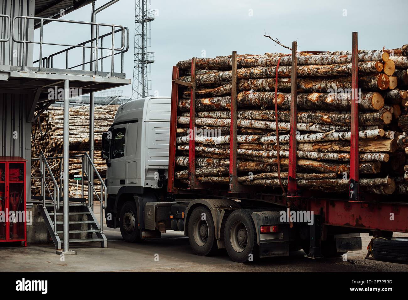 il caricatore frontale trasporta il legno raccolto in fabbrica. il trasporto industriale lavora in un magazzino. il caricamento di materie prime di legno su un trasportatore Foto Stock