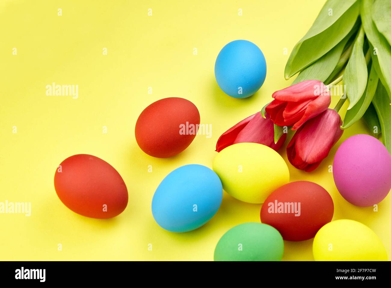 Uova di Pasqua e fiori di primavera su sfondo giallo. Uova di pollo colorate e tulipani rossi Foto Stock