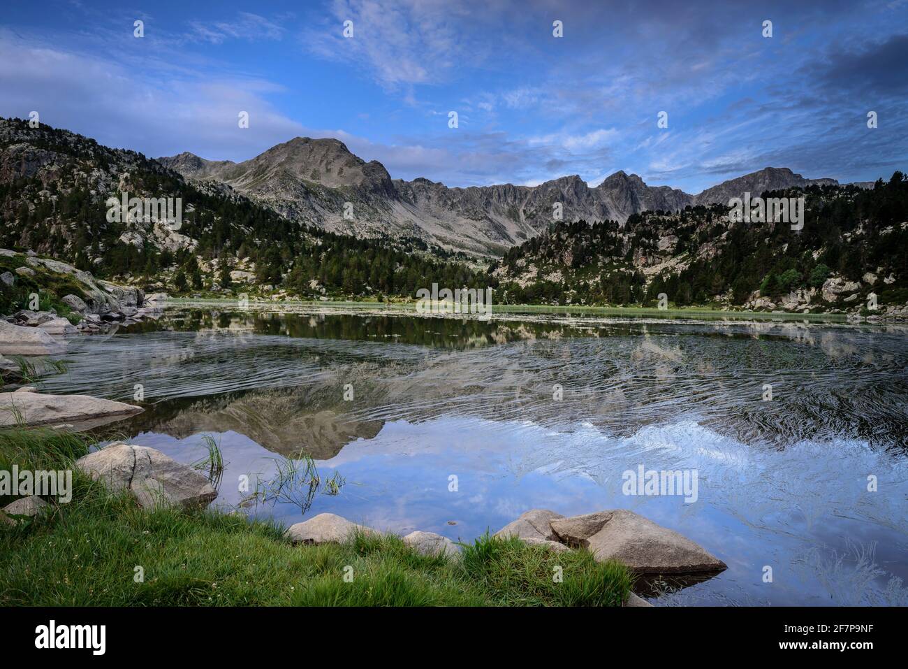 Estany primer de Pessons lago in una mattina estiva (circo di Pessons, Andorra, Pirenei) ESP: Estany primer de Pessons, una mañana de verano (Andorra) Foto Stock
