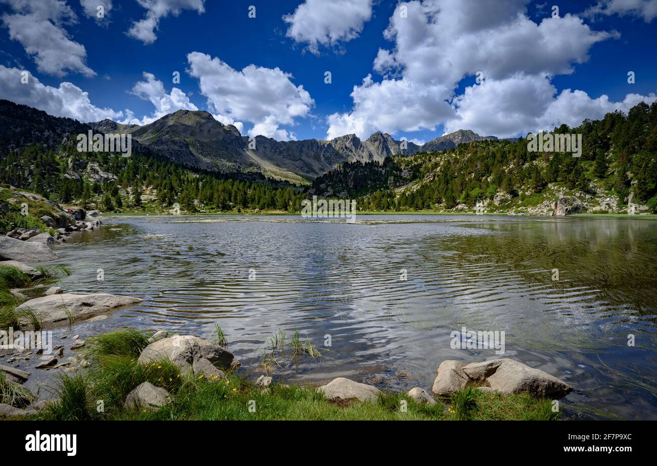Estany primer de Pessons lago in una mattina estiva (Andorra, Pirenei) ESP: Estany primer de Pessons, una mañana de verano (Andorra, Pirineos) Foto Stock