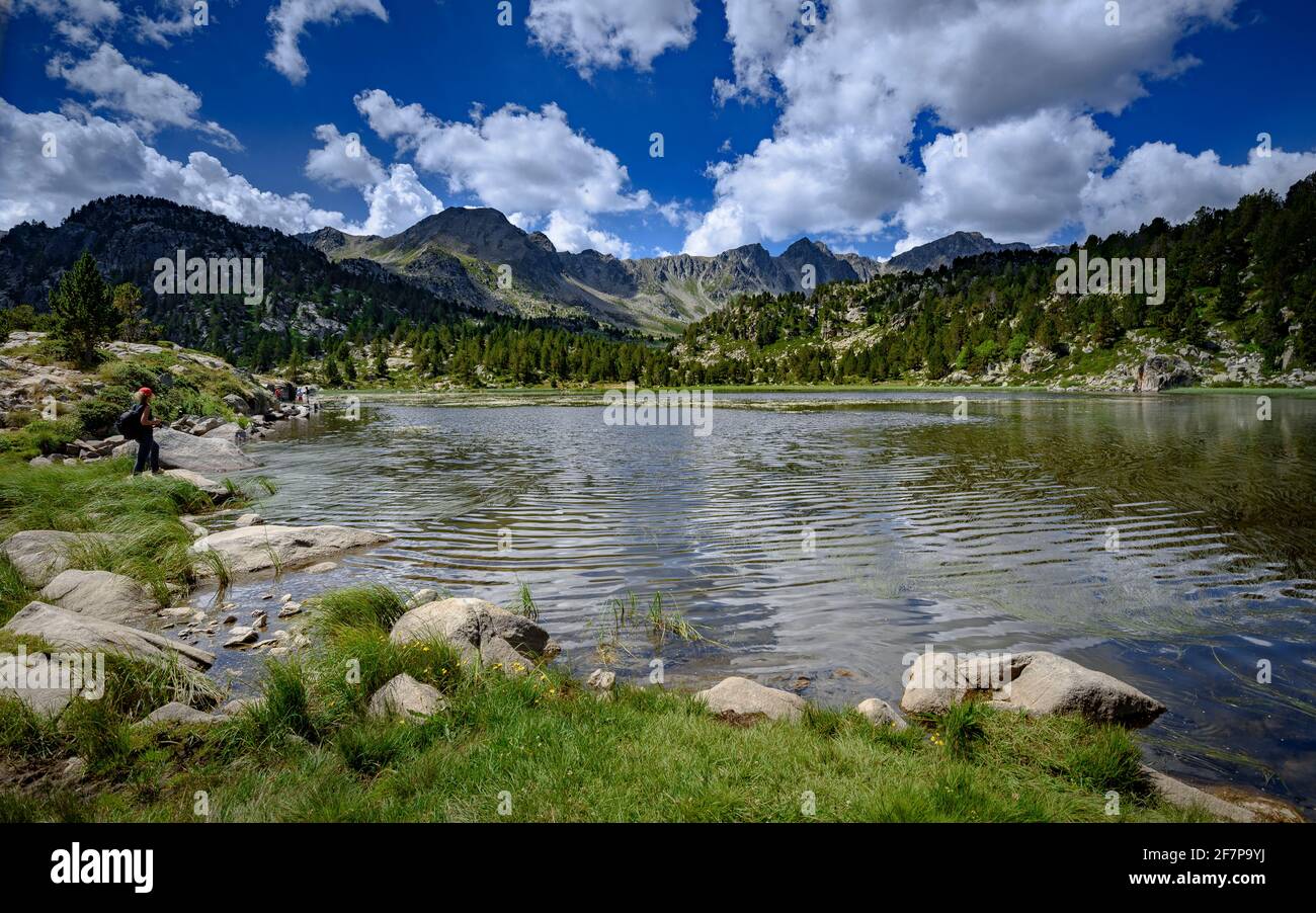 Estany primer de Pessons lago in una mattina estiva (Andorra, Pirenei) ESP: Estany primer de Pessons, una mañana de verano (Andorra, Pirineos) Foto Stock