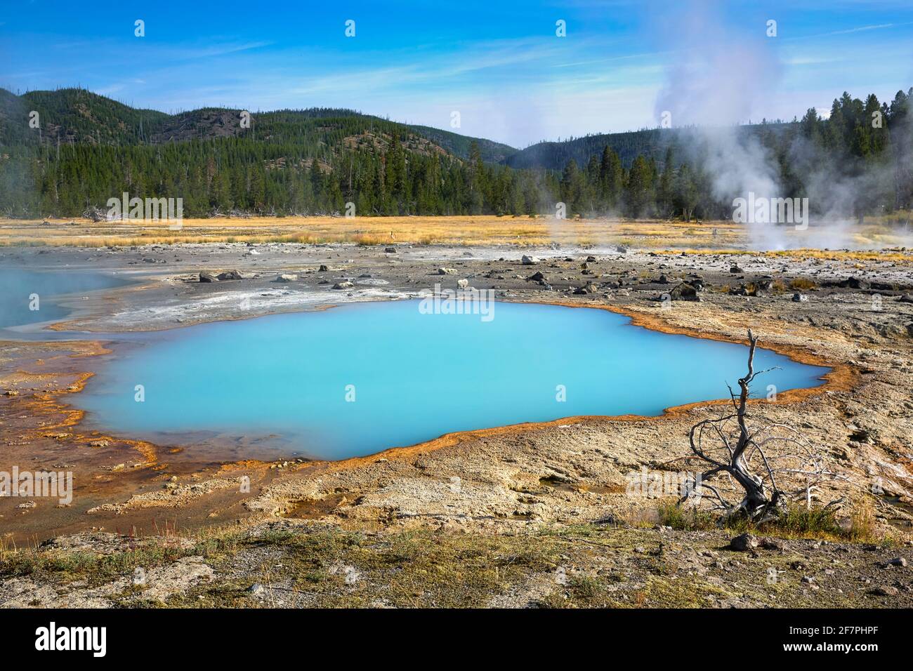 Bacinella di sabbia nera. Black Opal Pool nel Parco Nazionale di Yellowstone. Wyoming. STATI UNITI. Foto Stock