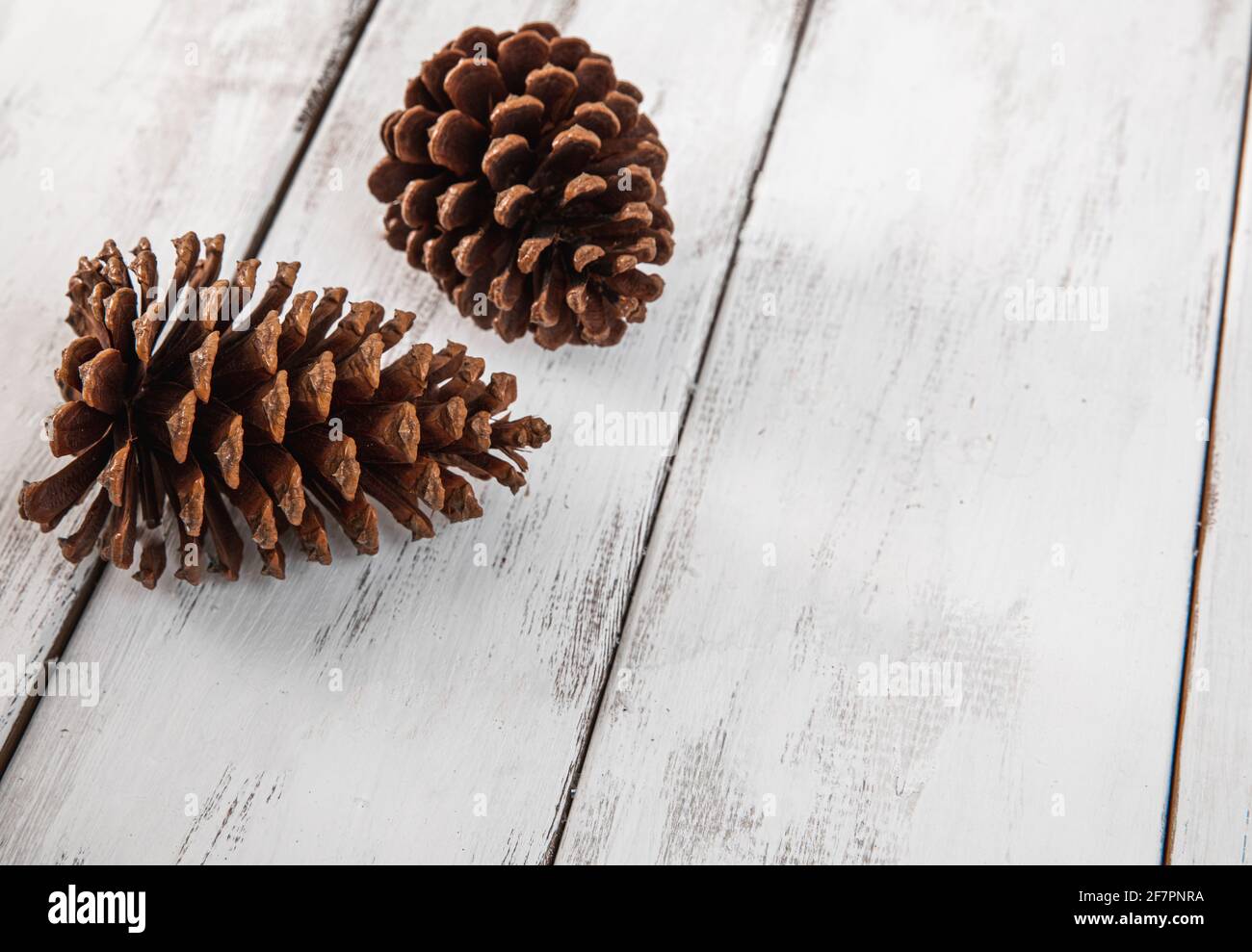vista angolata di due coni di pino su un dipinto di bianco superficie Foto Stock