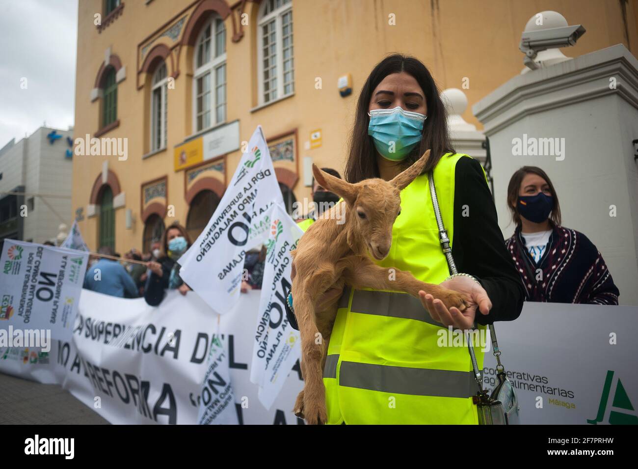 Malaga, Spagna. 09 aprile 2021. Un protestante che indossa un facemask come precauzione contro la diffusione della covid-19 visto tenere un agnello fuori della sottodelegazione del governo durante la manifestazione.gli agricoltori della provincia di Malaga hanno protestato contro la nuova riforma della politica agraria (conosciuta come Politica agricola comune) dal ministro spagnolo per l'agricoltura, la pesca e l'alimentazione Luis Planas. L'industria agricola ritiene che la nuova legge agraria danneggi i diritti degli agricoltori e gli aiuti al campo andaluso. (Foto di Jesus Merida/SOPA Images/Sipa USA) Credit: Sipa USA/Alamy Live News Foto Stock