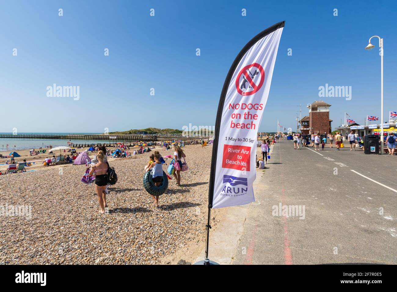 Una bandiera avvertimento che i cani non sono ammessi sulla spiaggia, sul lungomare in estate a Littlehampton, West Sussex, in Inghilterra, Regno Unito. Foto Stock