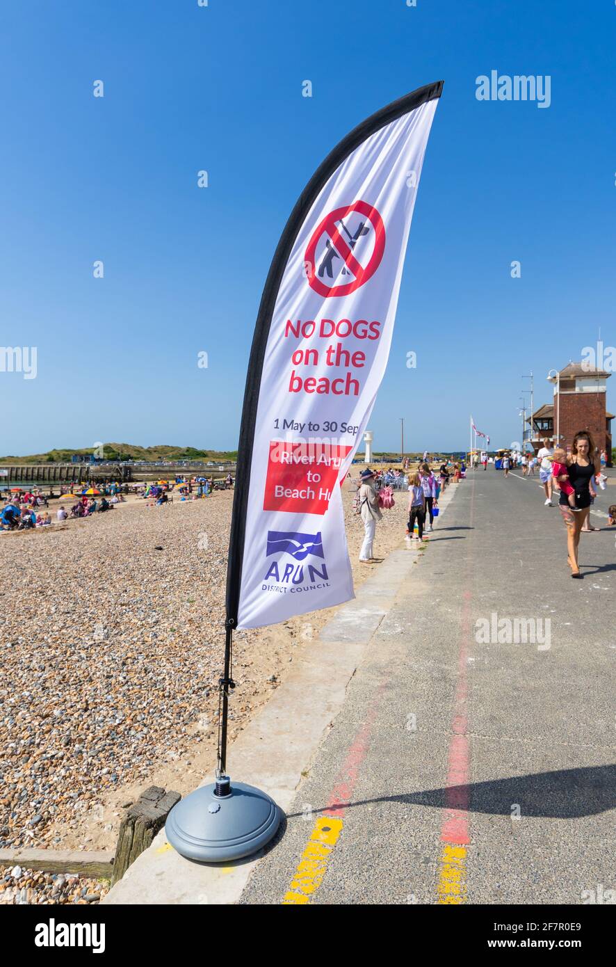 Una bandiera avvertimento che i cani non sono ammessi sulla spiaggia, sul lungomare in estate a Littlehampton, West Sussex, in Inghilterra, Regno Unito. Foto Stock