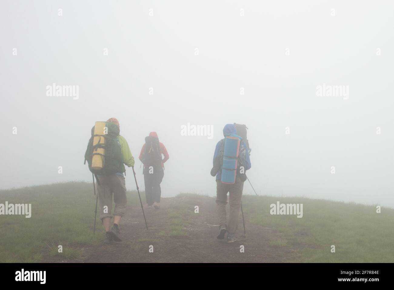 Gruppo di turisti che vanno con zaini e bastoni in profonda nebbia in montagna. Carpazi, Ucraina. Foto Stock
