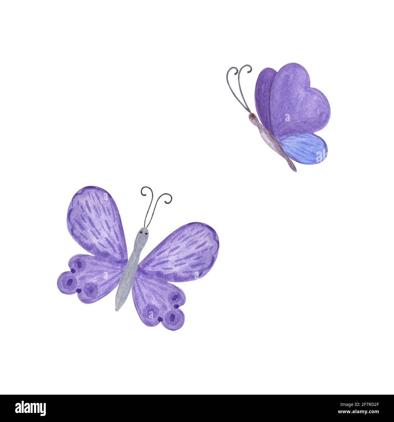 Viola farfalle acquerello illustrazione isolato su sfondo bianco, semplice mano disegnata colorful clipart per carte, inviti, tessuti o qualsiasi Foto Stock