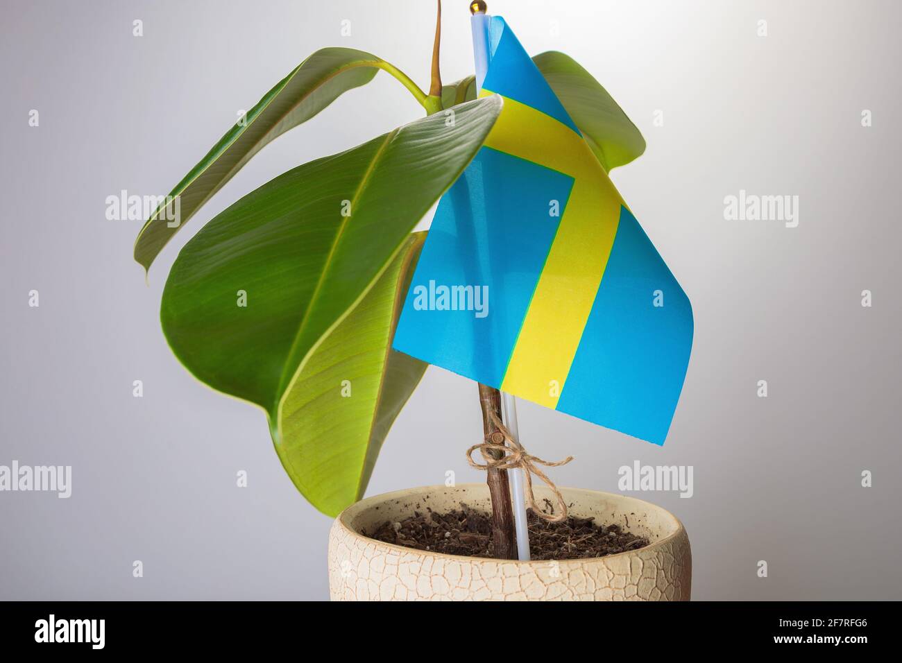 La Svezia sostiene l'ecologia del paese. Verde e pulizia del pianeta. Foto Stock
