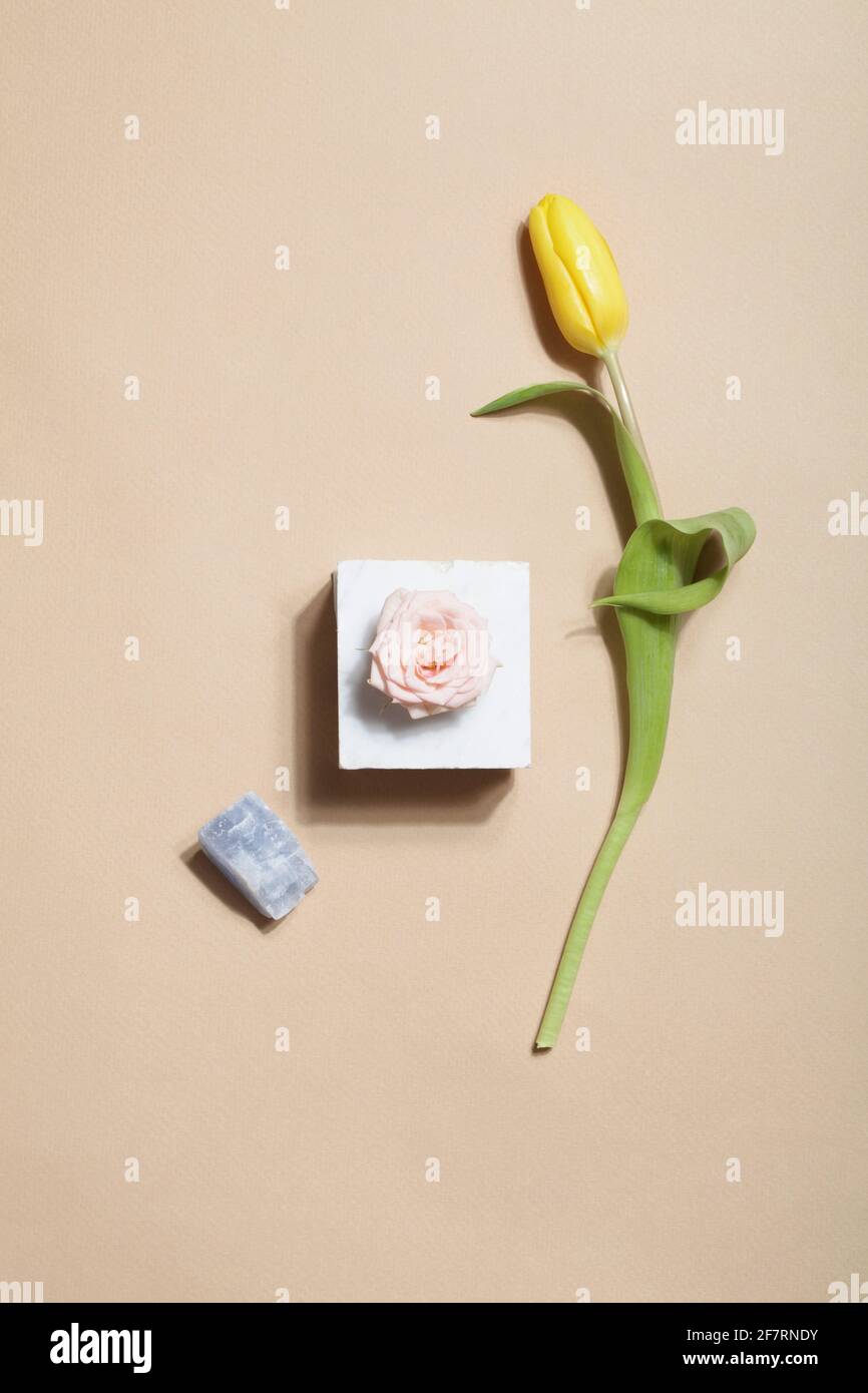 concetto di design organico. Stile scandinavo: Rosa su marmo, tulipano giallo e minerale di cristallo su sfondo beige. Foto Stock