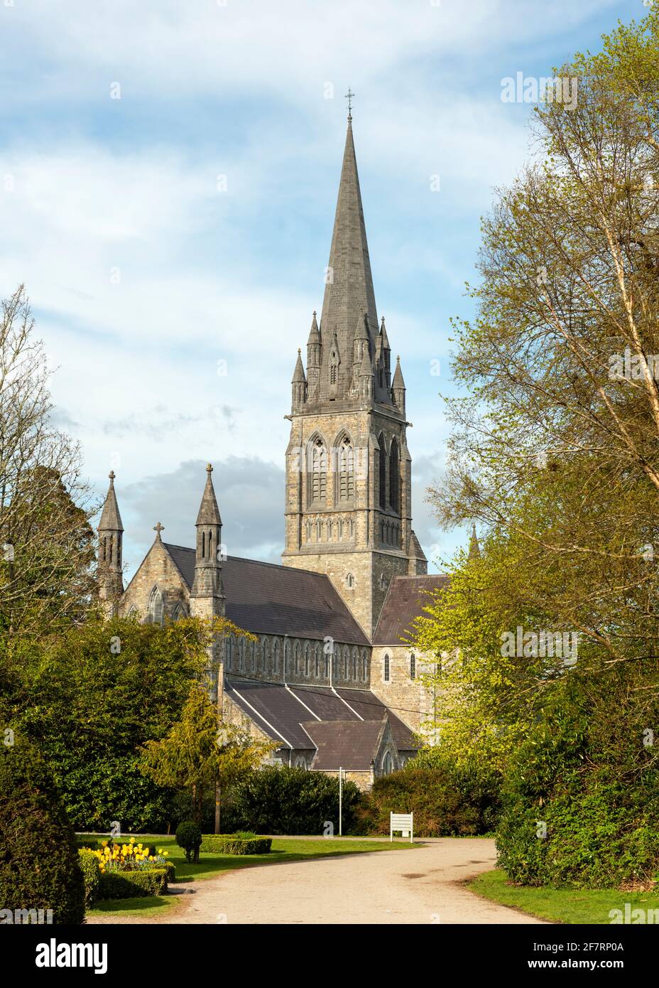 Cattedrale di Santa Maria di Augusto Welby Pugin e J.J. McCarthy, patrimonio irlandese e edificio medievale in stile gotico, Killarney, County Kerry, Irlanda Foto Stock