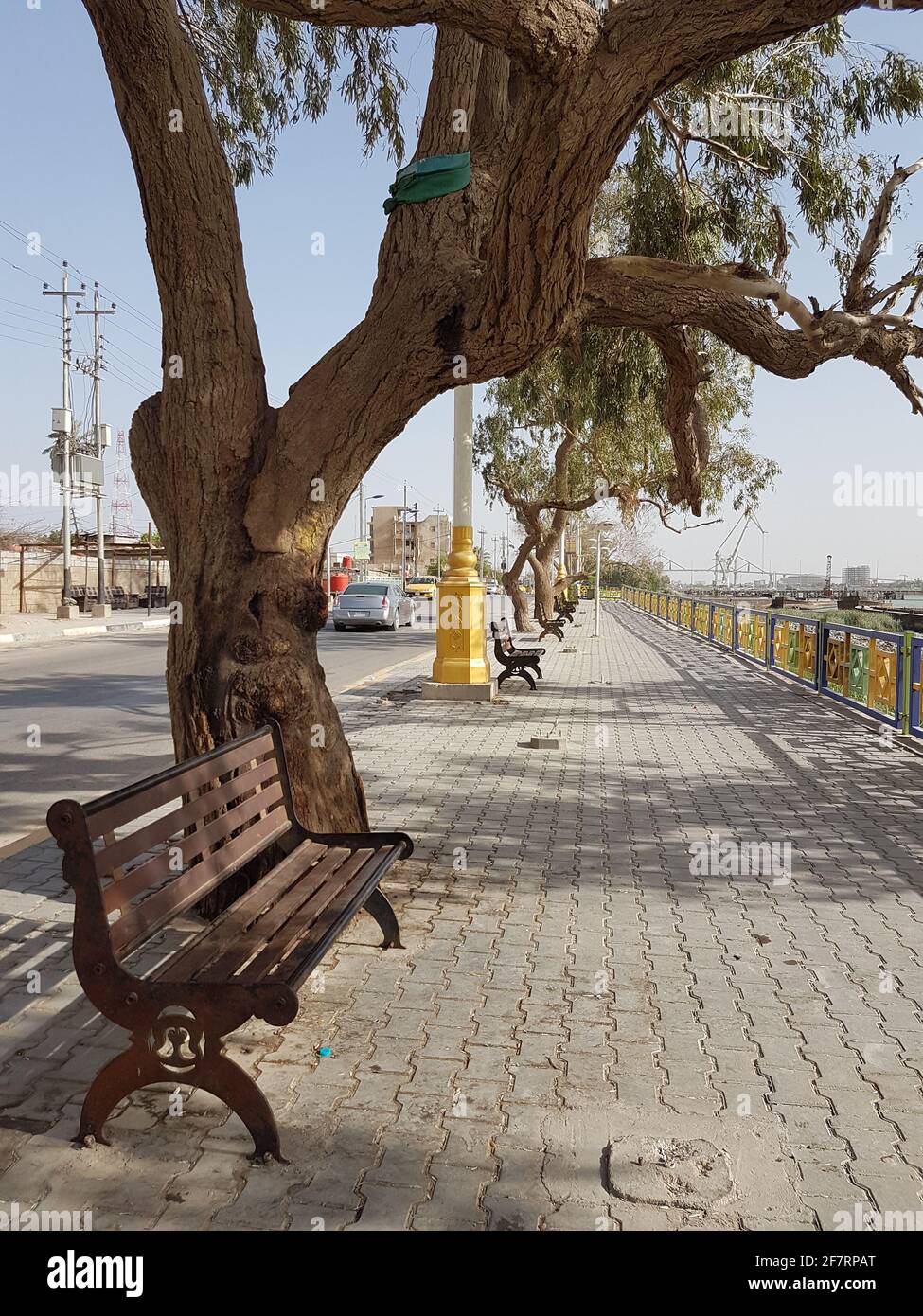 basra, Iraq - 8 aprile 2016: Foto di alberi sulla passeggiata laterale nella città di basra Foto Stock