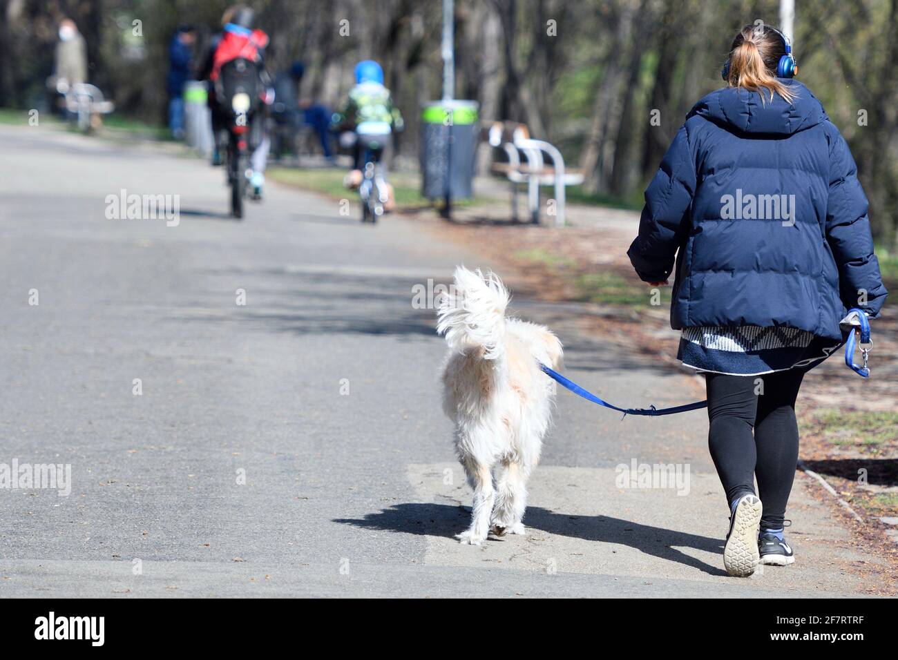 Vienna, Austria. Donna va per una passeggiata con il suo cane sul canale del Danubio in un meraviglioso clima primaverile Foto Stock