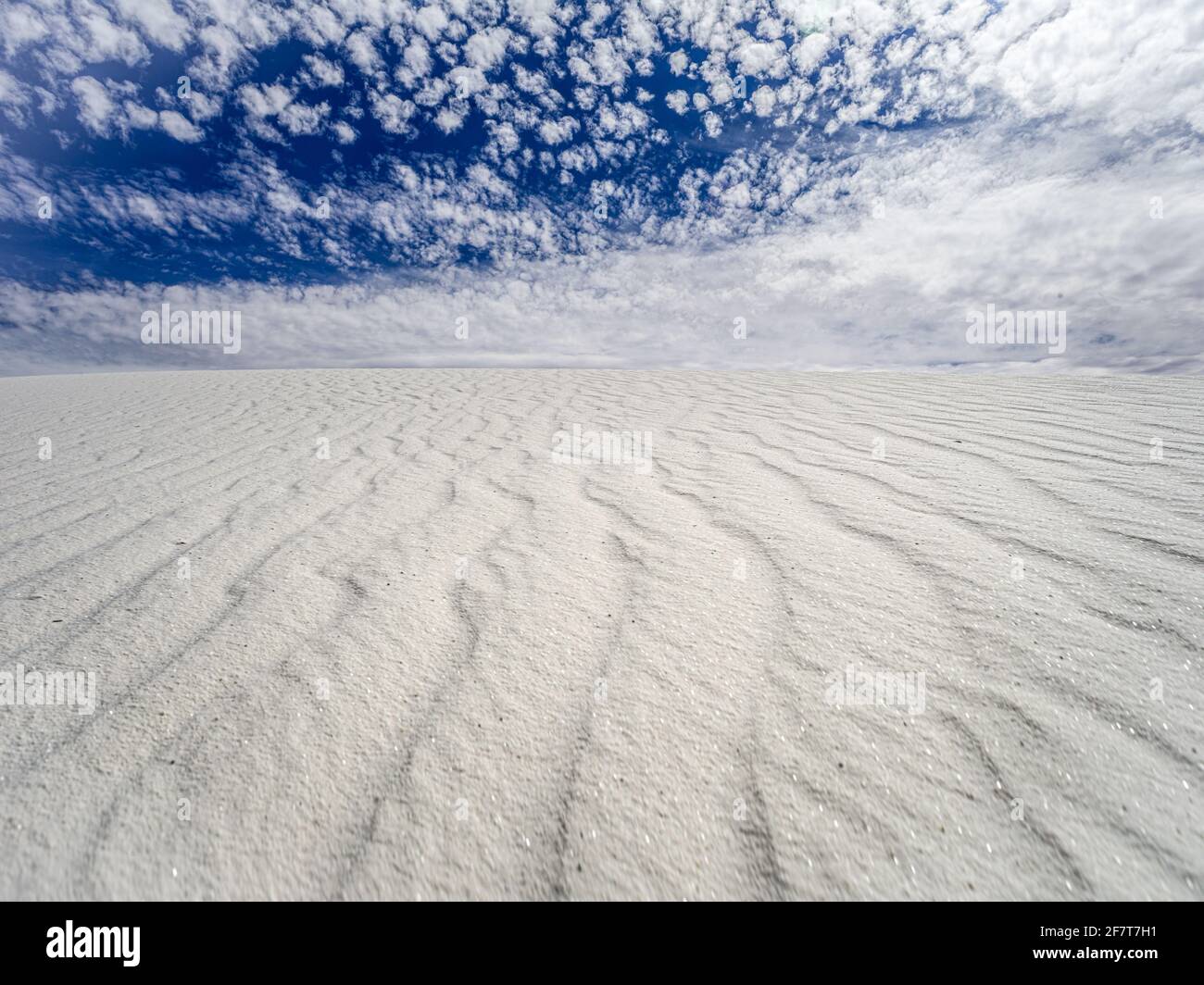 Texture nelle dune di sabbia bianca al White Sands National Park, New Mexico, Foto Stock