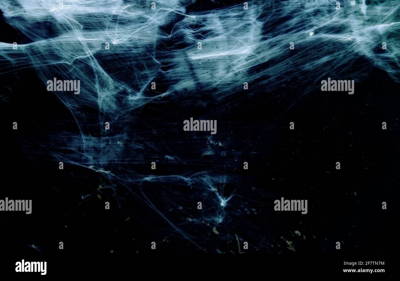 Luci e forme strane che raffigurano un fantasma o un ectoplasma (ectoplasma) potrebbe essere simile Foto Stock