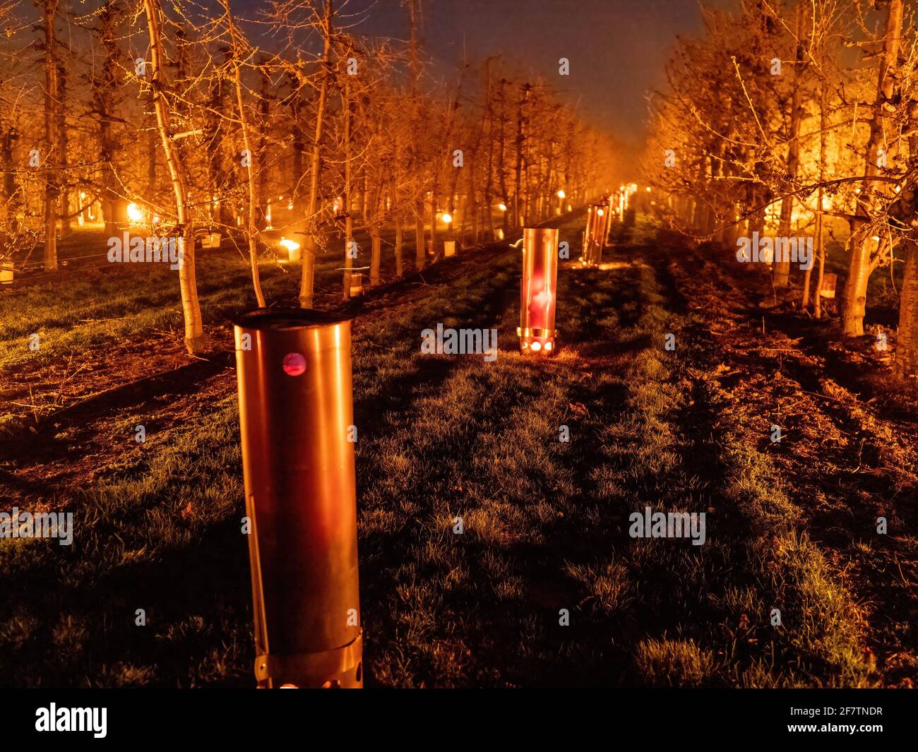 Dunajska Luzna, Slovacchia. 09 aprile 2021. Fuoco acceso stufe durante una notte di congelamento al frutteto. Come ciliegi, mela e pera alberi stanno germogliando centinaia di fuochi sono illuminati in frutteti per creare calore e proteggere i germogli, parte di loro spruzzato con acqua durante la notte. Gli agricoltori devono trascorrere molte notti mantenendo i germogli vivi. (Foto di Jana Cavojska/SOPA Images/Sipa USA) Credit: Sipa USA/Alamy Live News Foto Stock