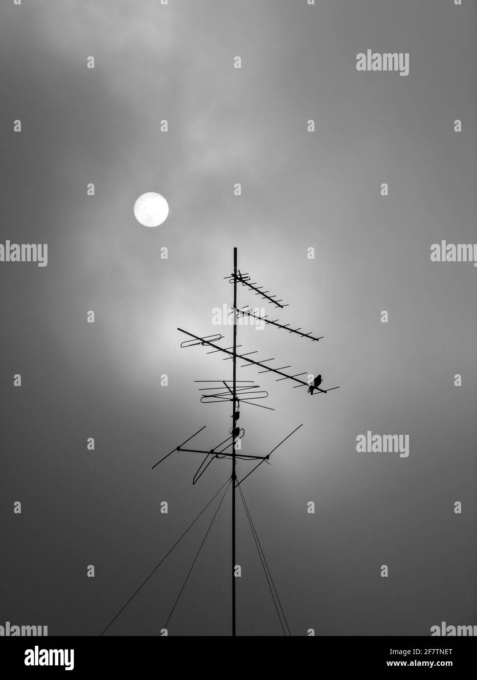 Immagine verticale in scala di grigi delle antenne sotto la luna Foto Stock