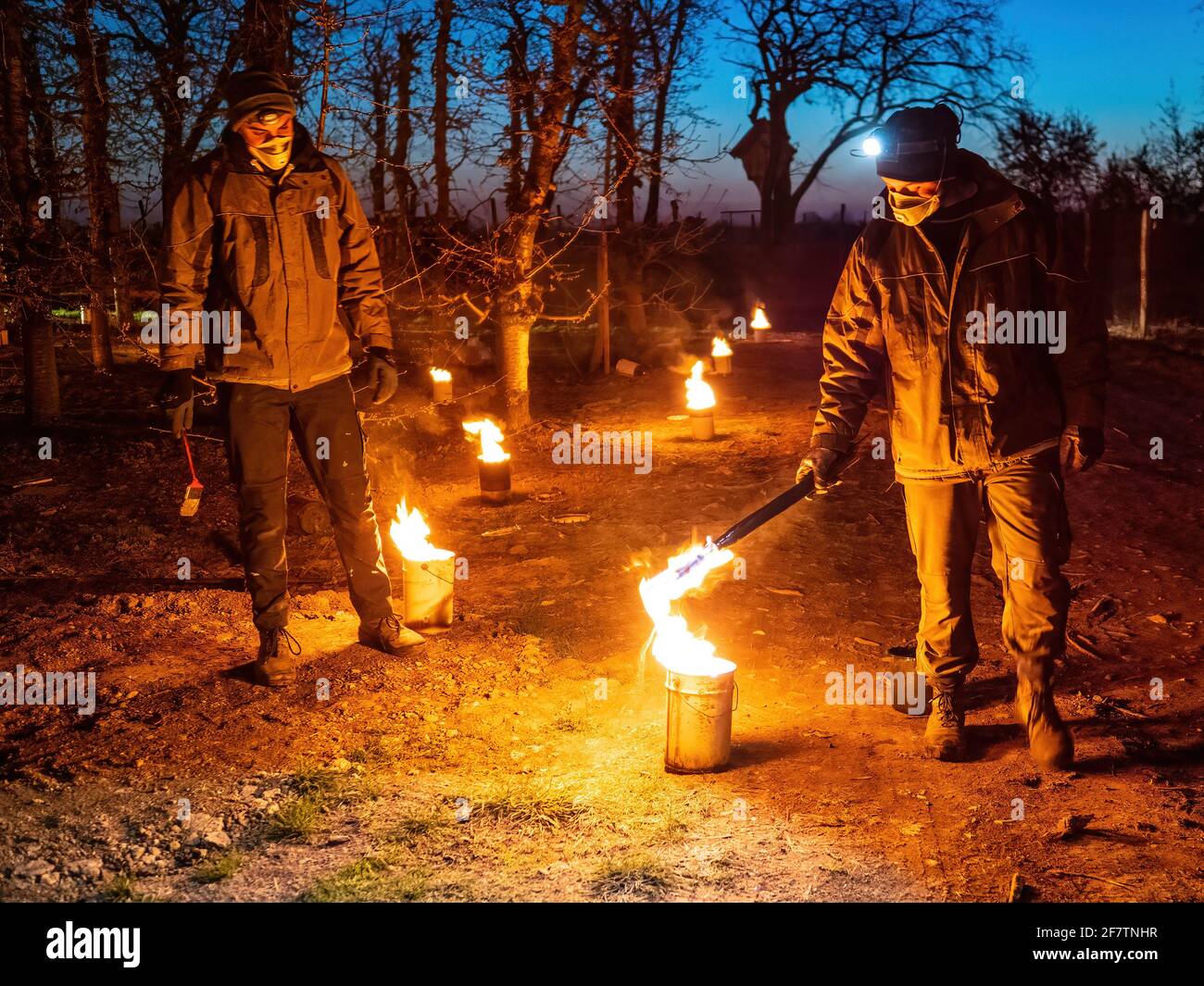 Dunajska Luzna, Slovacchia. 09 aprile 2021. Lavoratori che illuminano le stufe a fuoco al frutteto durante una notte di congelamento. Come ciliegi, mela e pera alberi stanno germogliando centinaia di fuochi sono illuminati in frutteti per creare calore e proteggere i germogli, parte di loro spruzzato con acqua durante la notte. Gli agricoltori devono trascorrere molte notti mantenendo i germogli vivi. (Foto di Jana Cavojska/SOPA Images/Sipa USA) Credit: Sipa USA/Alamy Live News Foto Stock