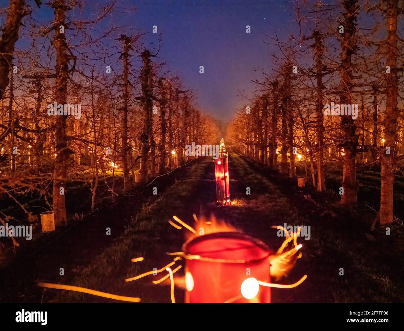 Dunajska Luzna, Slovacchia. 09 aprile 2021. Fuoco acceso stufe durante una notte di congelamento al frutteto. Come ciliegi, mela e pera alberi stanno germogliando centinaia di fuochi sono illuminati in frutteti per creare calore e proteggere i germogli, parte di loro spruzzato con acqua durante la notte. Gli agricoltori devono trascorrere molte notti mantenendo i germogli vivi. Credit: SOPA Images Limited/Alamy Live News Foto Stock