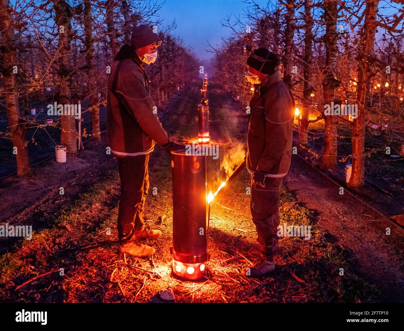 Dunajska Luzna, Slovacchia. 09 aprile 2021. Lavoratori che illuminano le stufe a fuoco al frutteto durante una notte di congelamento. Come ciliegi, mela e pera alberi stanno germogliando centinaia di fuochi sono illuminati in frutteti per creare calore e proteggere i germogli, parte di loro spruzzato con acqua durante la notte. Gli agricoltori devono trascorrere molte notti mantenendo i germogli vivi. Credit: SOPA Images Limited/Alamy Live News Foto Stock