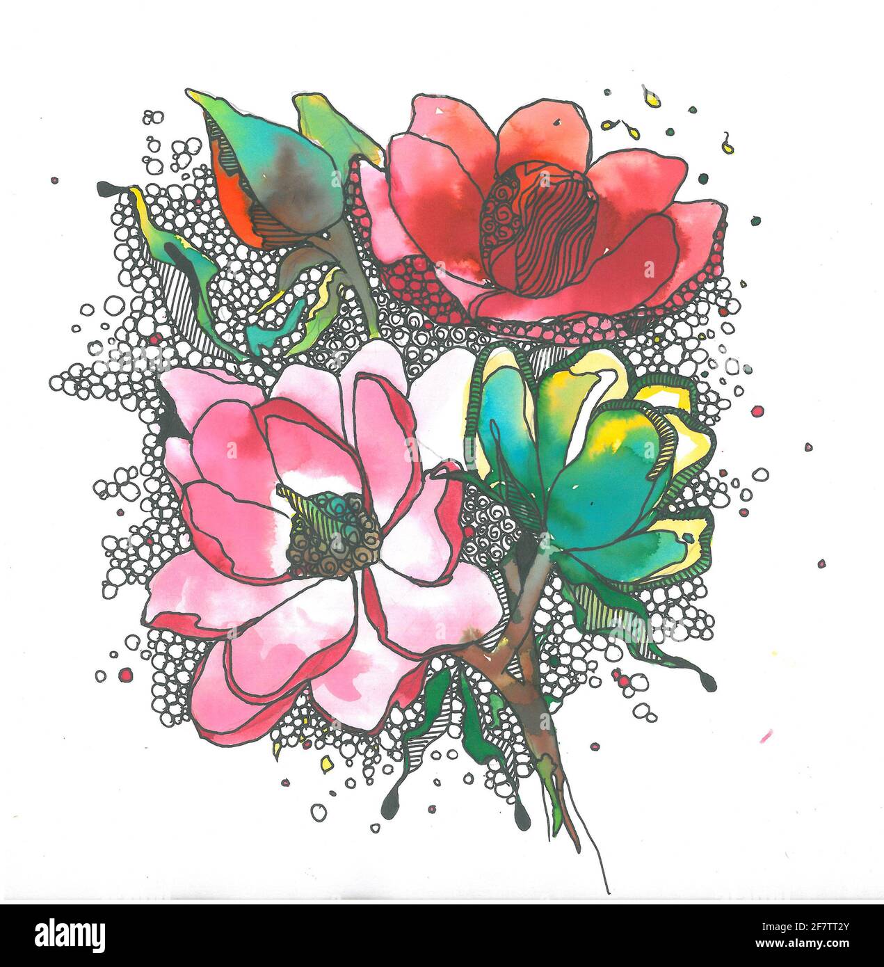 rosa pianta foglia illustrazioni rosa e verde rosa loto disegno illustrazione profumo floreale fiore disegno a mano di rosa pianta illustrazione Foto Stock