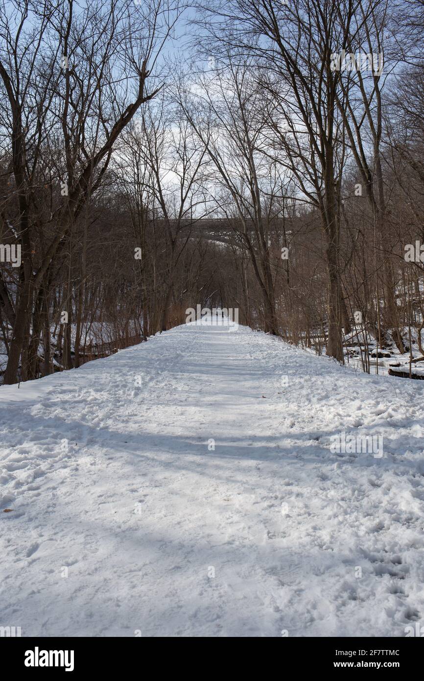 Foto del Sentiero Beltline in inverno. Toronto, ON, Canada. Foto Stock