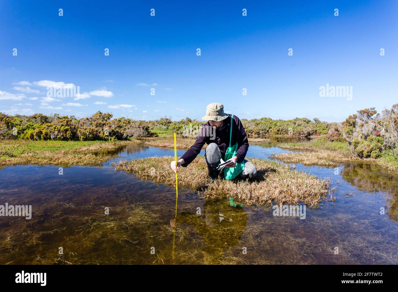 Scienziato che misura i parametri ambientali di qualità dell'acqua in una zona umida. Foto Stock
