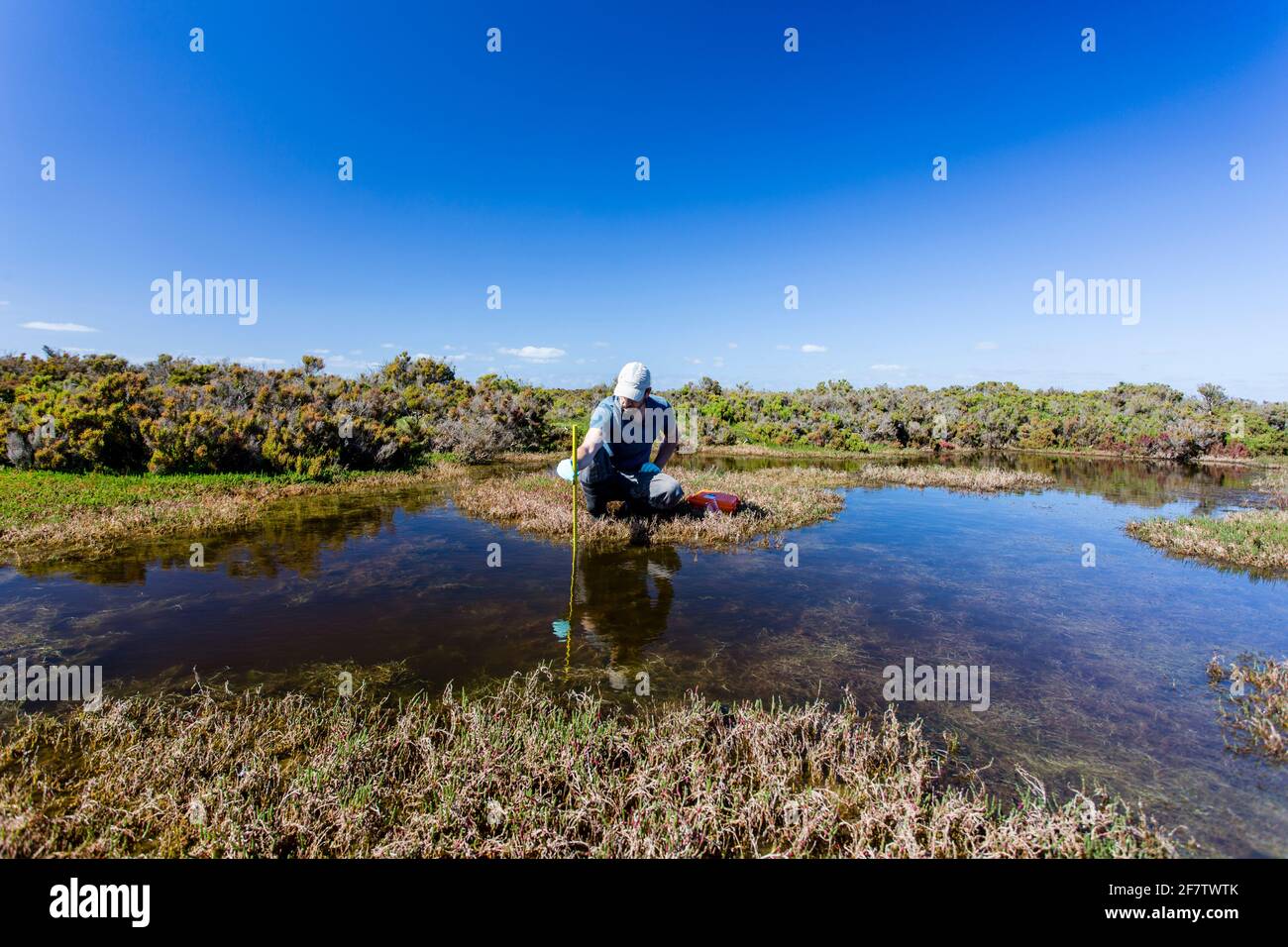 Scienziato che misura i parametri ambientali di qualità dell'acqua in una zona umida. Foto Stock