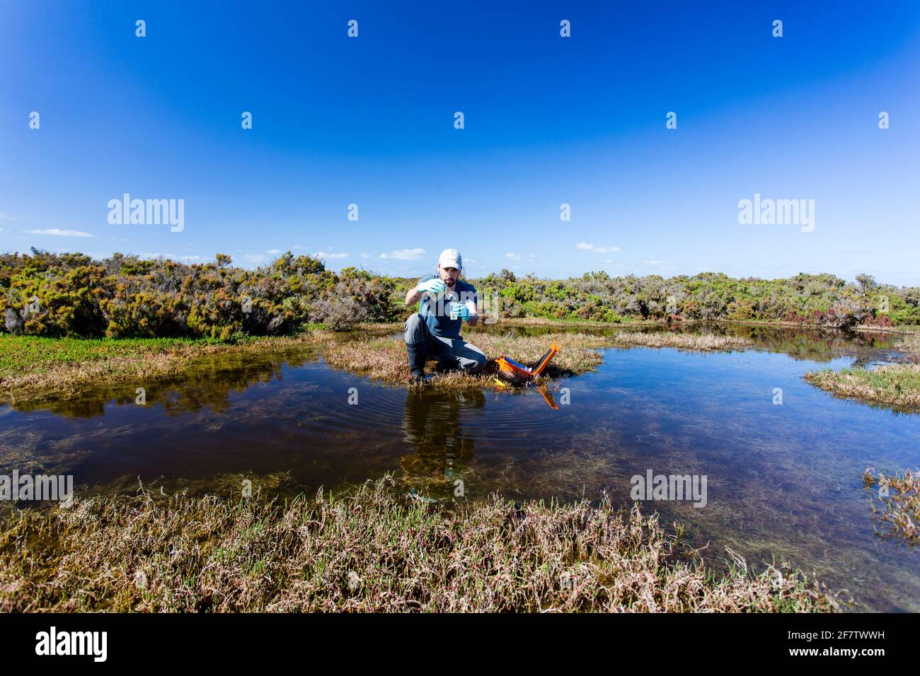 Scienziato che misura i parametri ambientali di qualità dell'acqua in una zona umida. Foto Stock